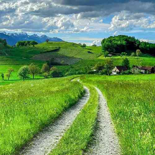 حسین بنائی امشب تو در این گریه مرا مگذر و بگذر